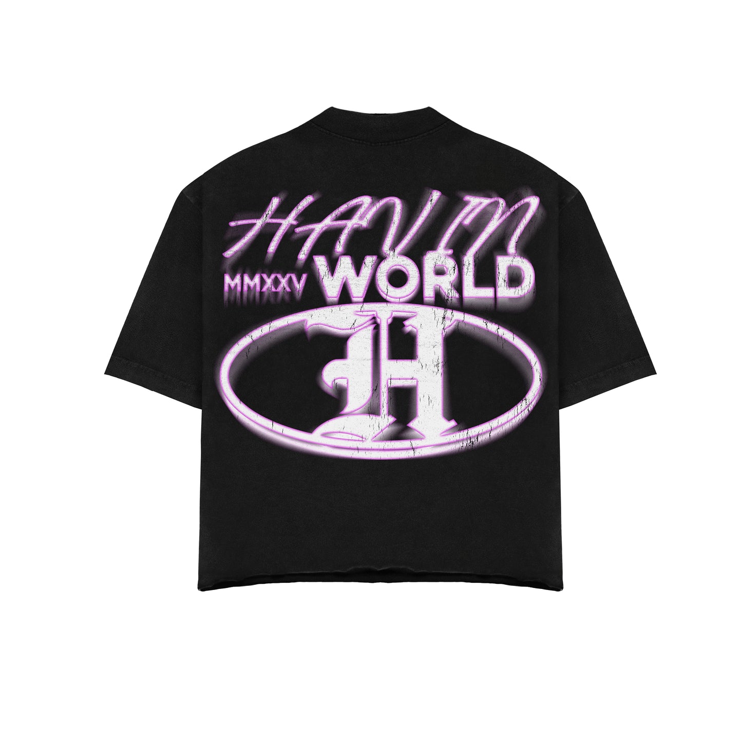 HAVIN WORLD MMXXV Premium Tee